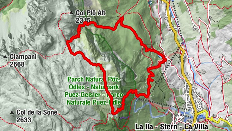 Carte
