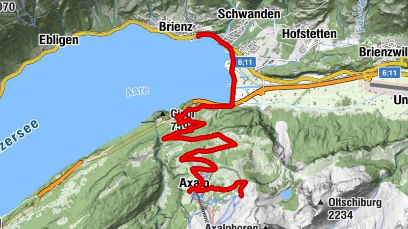 Carte