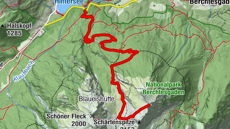 Carte