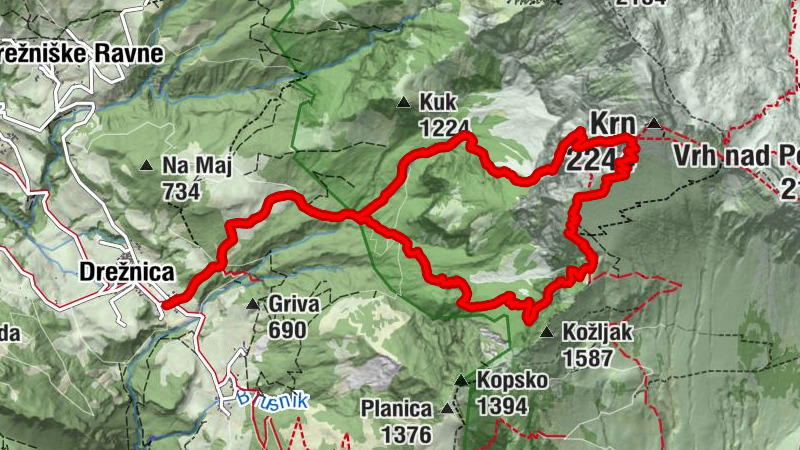 Carte
