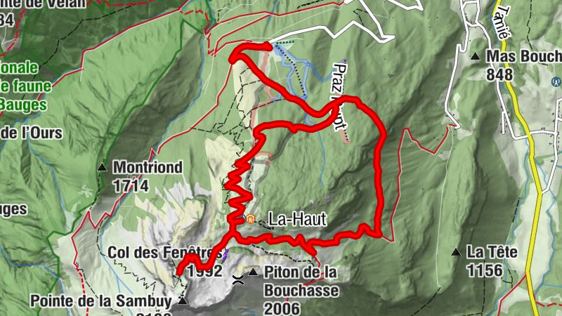 Carte