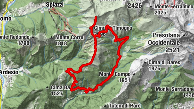 Carte