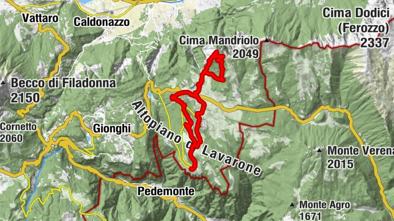 Carte