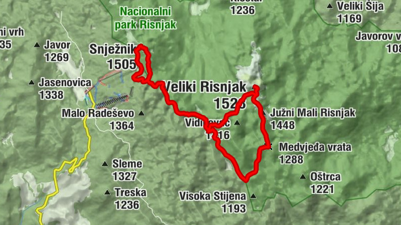 Carte