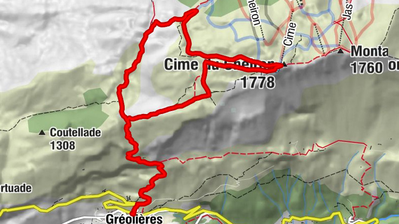 Carte