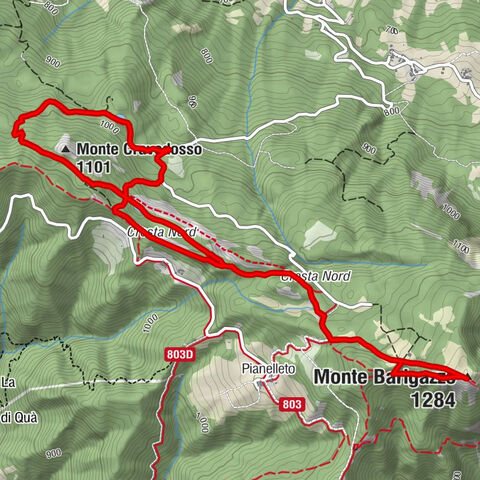 Bardi - Monte Cravedosso - Monte Barigazzo - Santuario della Madonna della Guardia