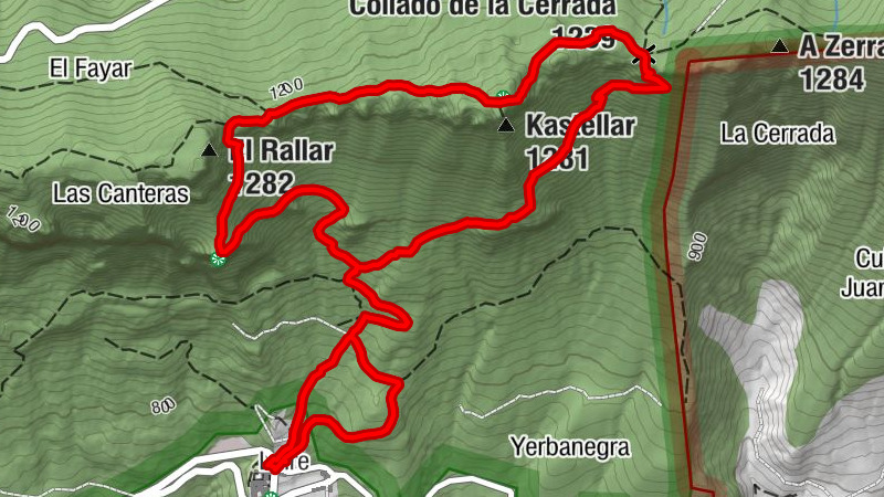 Carte