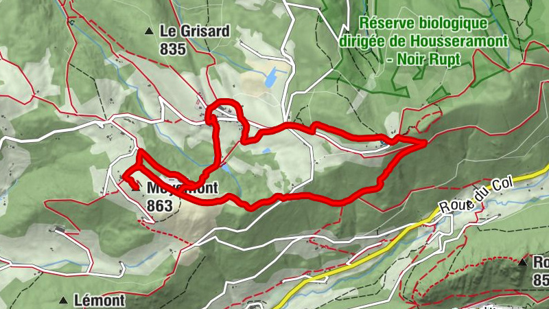Carte