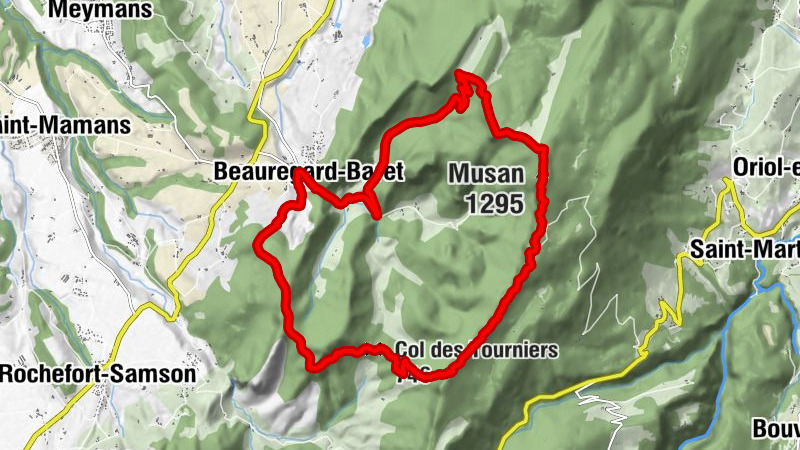 Carte