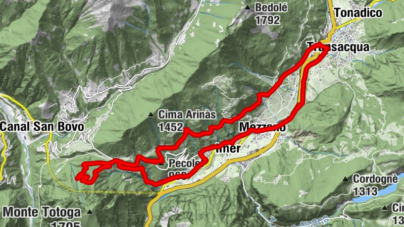 Carte