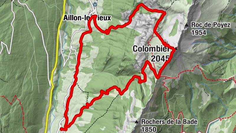 Carte