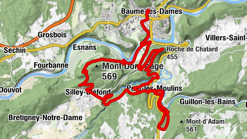 Carte