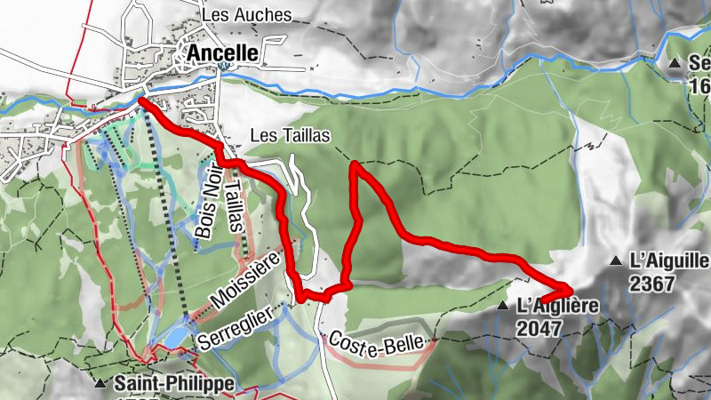 Carte