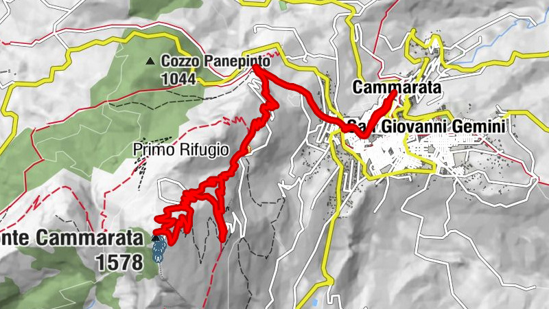 Carte