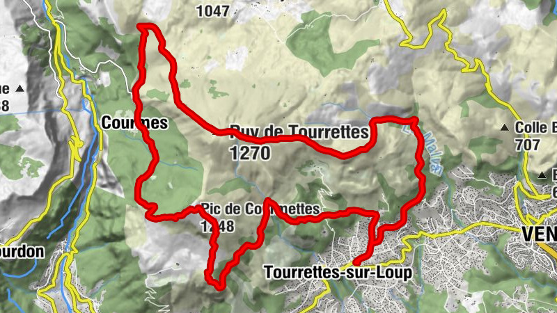 Carte