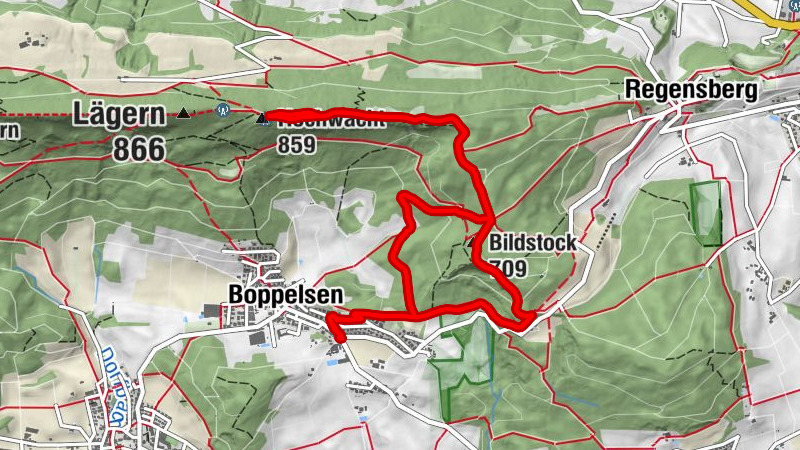 Carte
