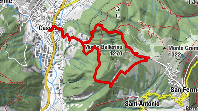 Carte