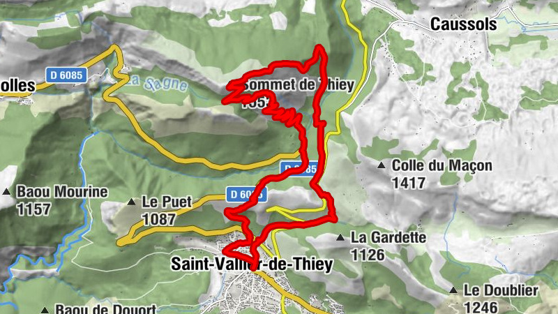 Carte