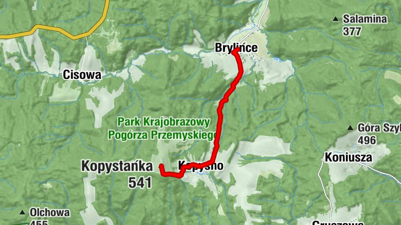 Carte