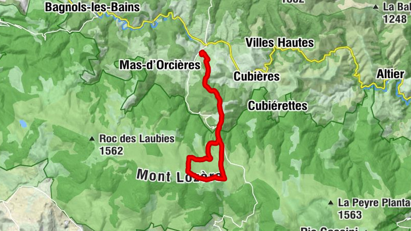 Carte