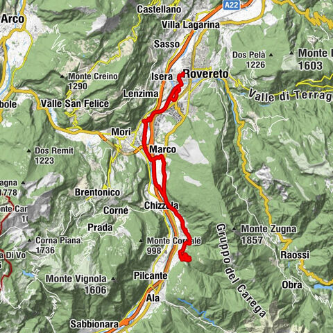 Carte