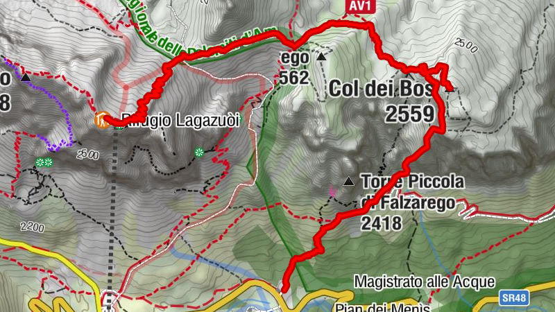Carte