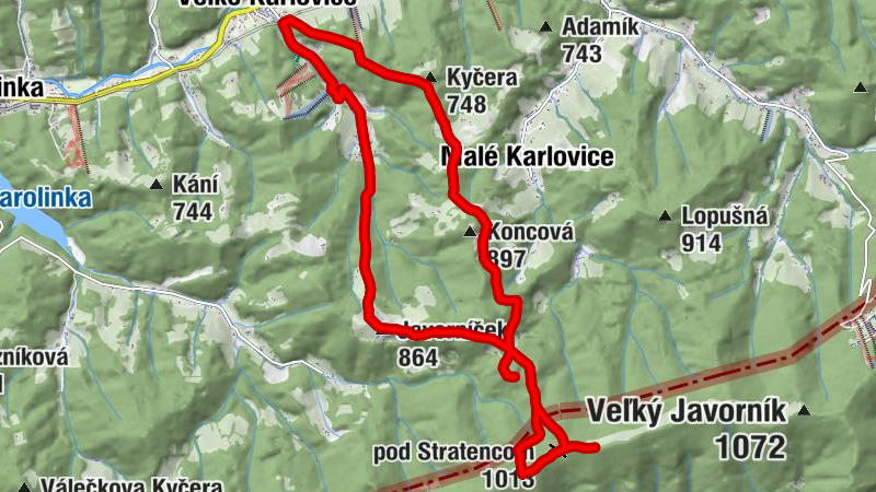 Carte