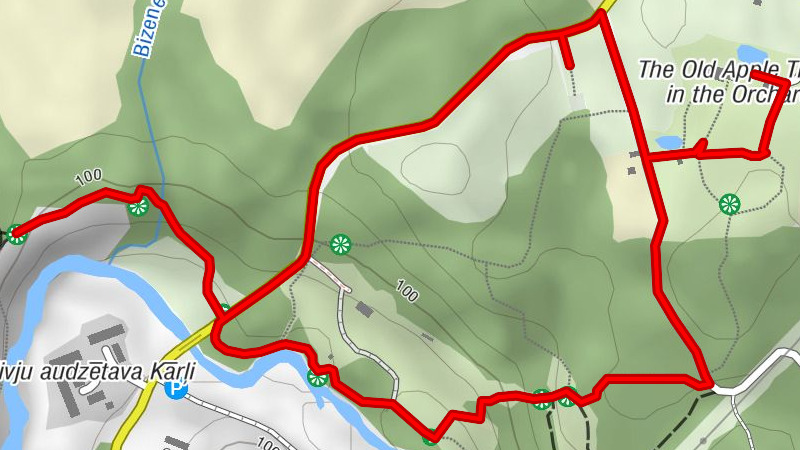 Carte