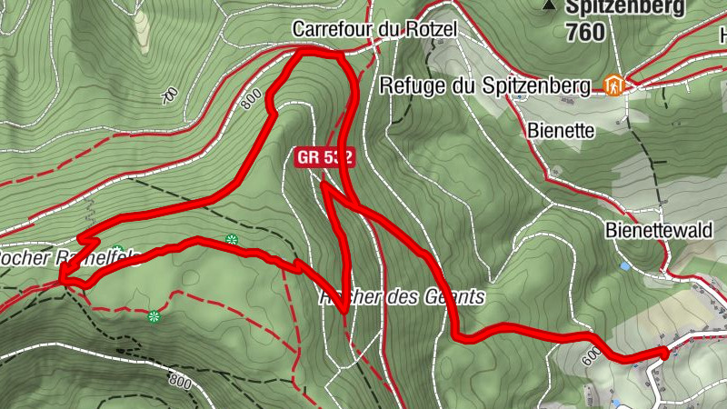 Carte