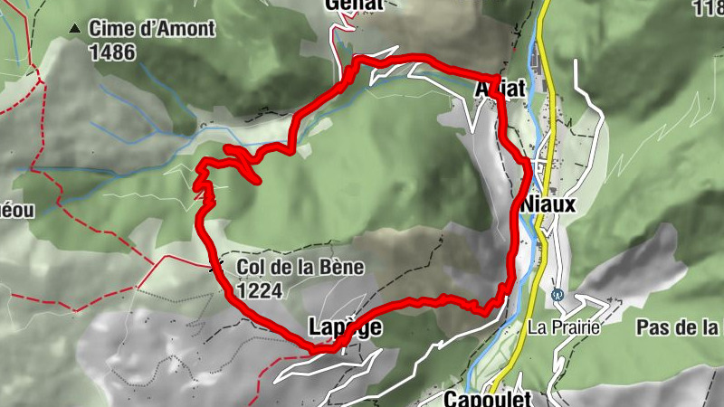 Carte