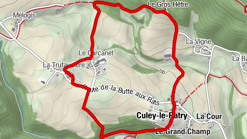 Carte