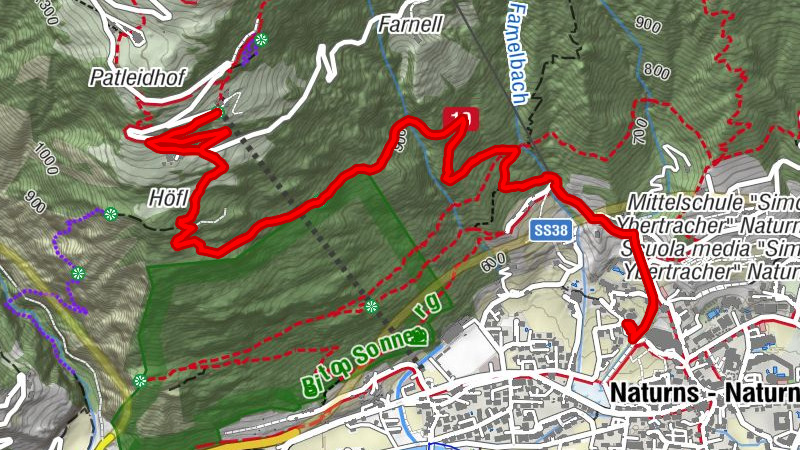 Carte