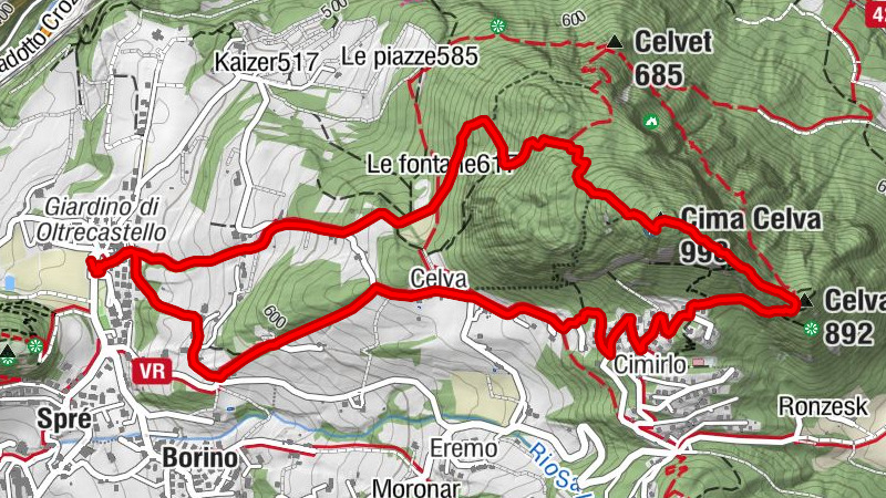 Carte