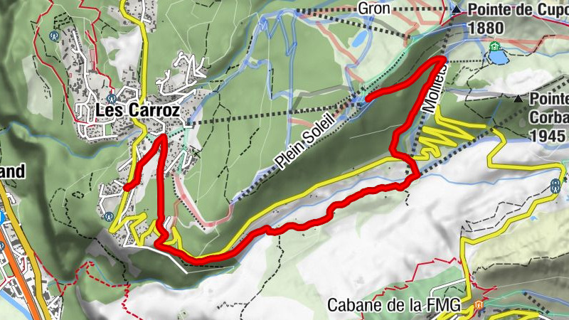 Carte