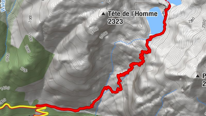 Carte