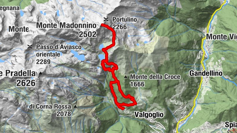 Carte