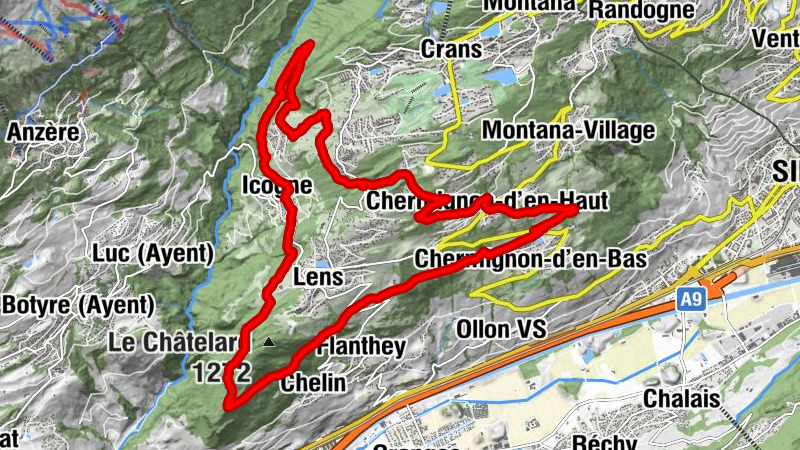 Carte