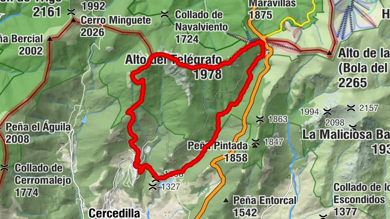 Carte