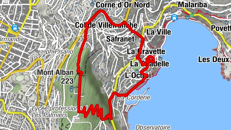 Carte