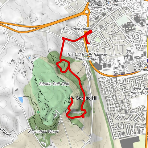 Scrabo - Scrabo Hill