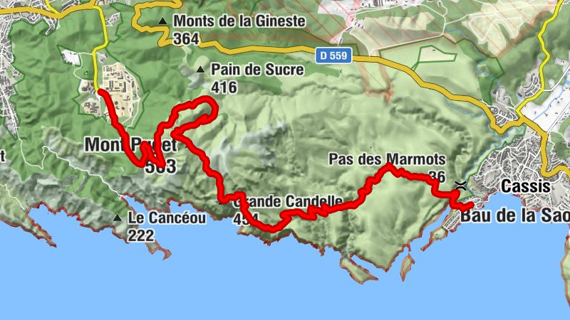 Carte