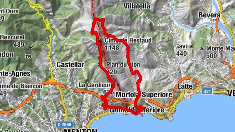 Carte