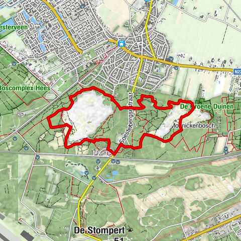 Soest - Het Bos-thuis - Soesterduinen