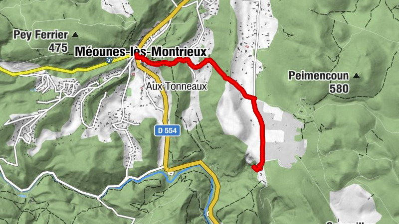 Carte