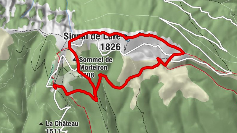 Carte