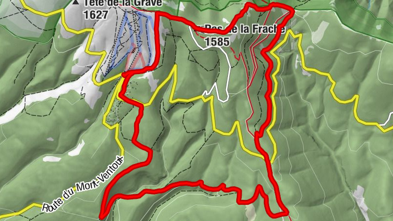 Carte