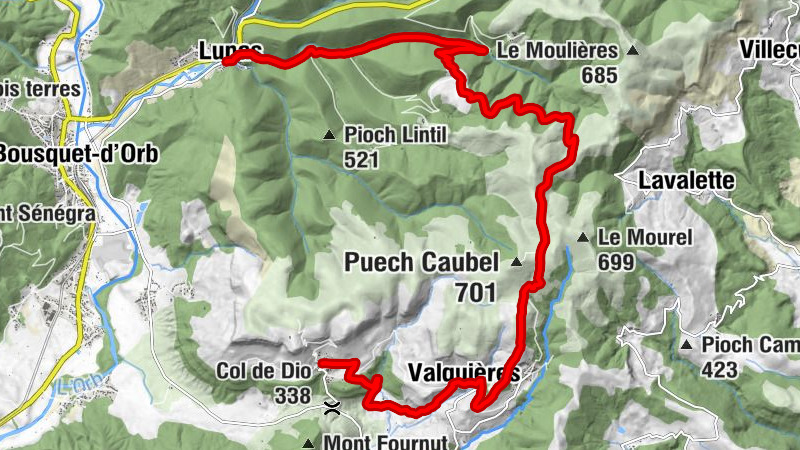 Carte