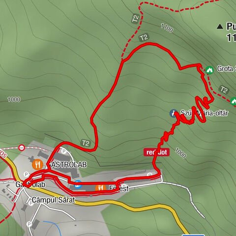 Turia - Puturosu - GASTROLAB - Forest