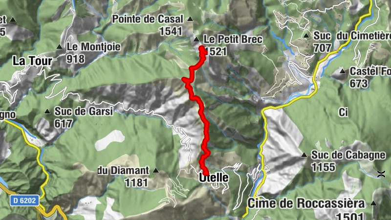 Carte