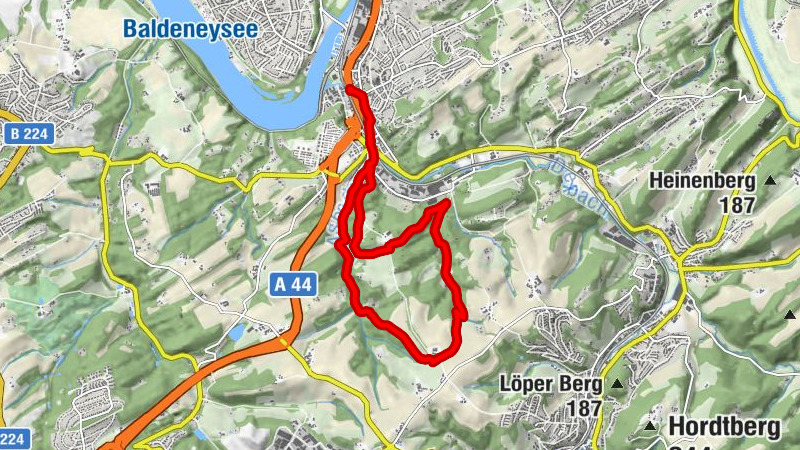 Carte